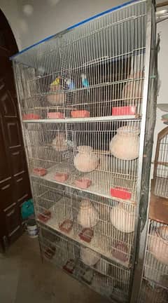 8 portion cage for Sale