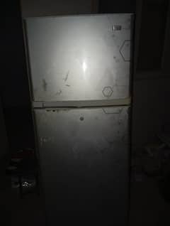 Hair Fridge
