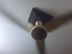 3 fan for sale good condition ac dc nhi hai. . . . .