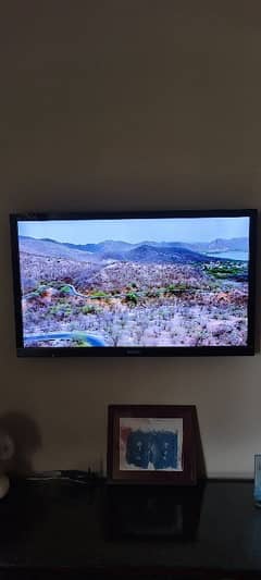 Sony Bravia 3d