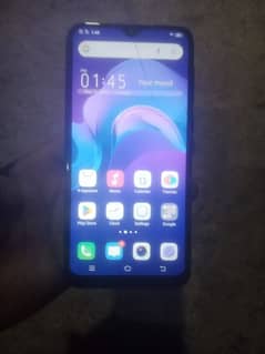 vivo