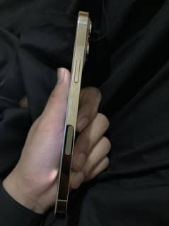 Iphone 13 pro max non pta jv