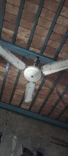 Fan for sale
