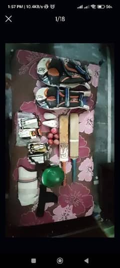 Cricket
