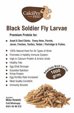 Supreme Quality Dried Larvae