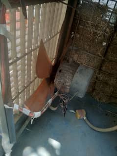 Full size lahori cooler for sale in good condition