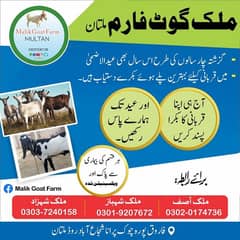 Bakra /Bakry/Rajan puri /chatra