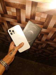 iPhone 12 pro max