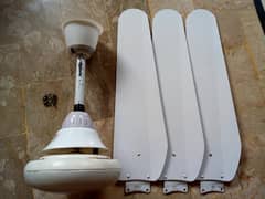 fan