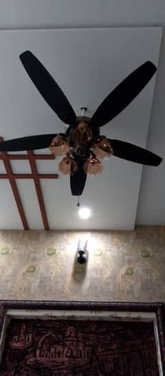 Fanooas fans  03334046660
