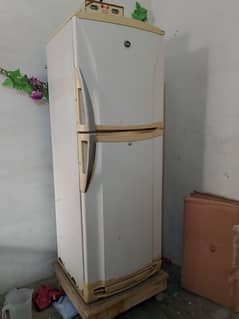 Fridge