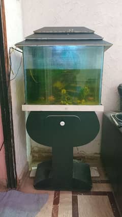 Aquarium