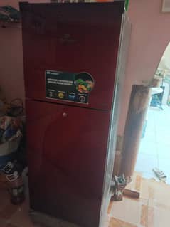 Dawlance 9160 Avante Plus refrigerator with a glass door,