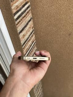 iphone 12 pro pta approved