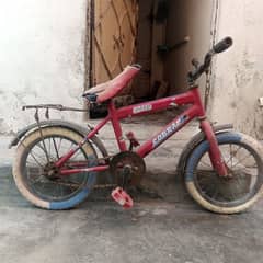 sale cycal
