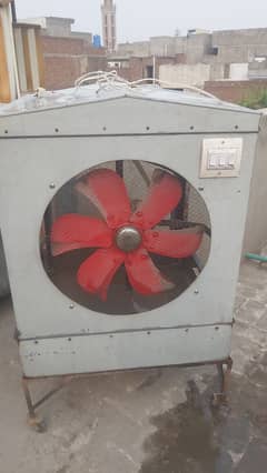 Cooler