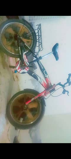 cycle