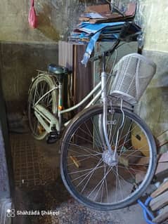 cycle