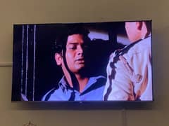TCL 55 inch LCD