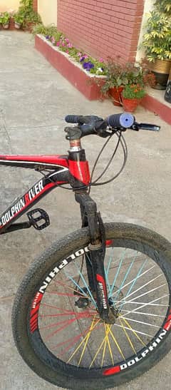 DOLPHIN RIVER BICYCLE FOR SALE