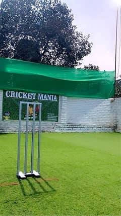 grass carpet for indoor cricket