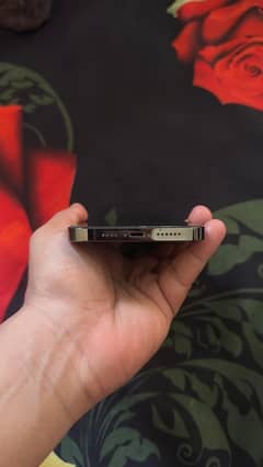13promax non pta (Sim Working) jv