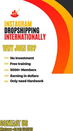 Online Instagram Dropshipping