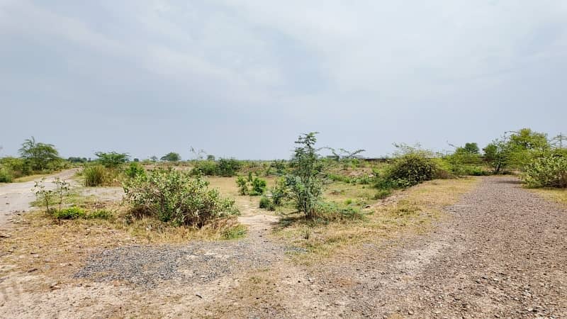 A Prime Location Residential Plot Of 5 Marla In State Life Phase 1 - Block G 0