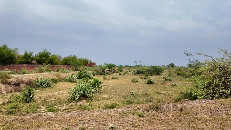 A Prime Location Residential Plot Of 5 Marla In State Life Phase 1 - Block G 3
