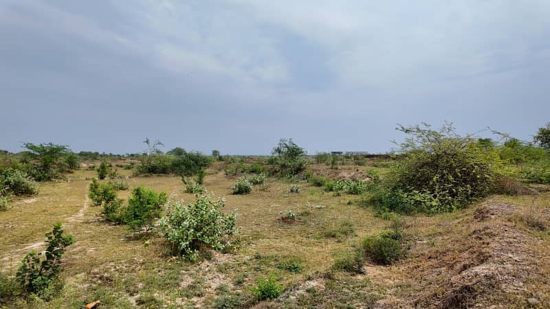 A Prime Location Residential Plot Of 5 Marla In State Life Phase 1 - Block G 5