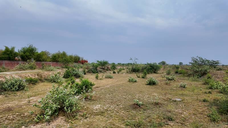 A Prime Location Residential Plot Of 5 Marla In State Life Phase 1 - Block G 8