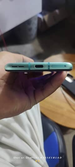 One plus 8t 10by 10 panel changed 12gb 256
