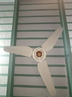Brand New Condition Fan for sale
