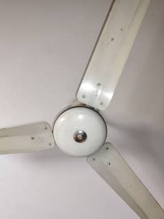 selling ceiling fan brand pak Fan 100% working