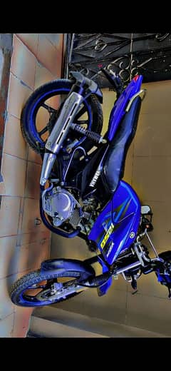 YBR-