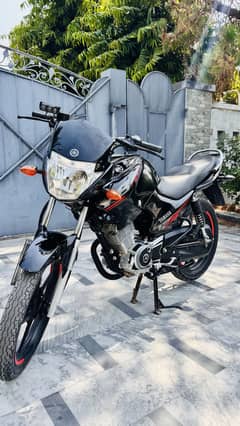 Yamaha YBR 2024