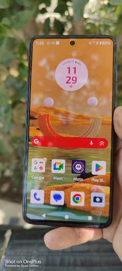Motorola Moto G84 5G Model (12 Ram 265gb)