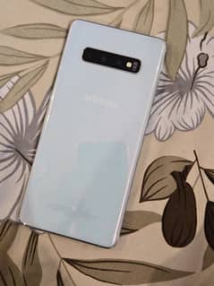s10plus