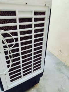 Pak Diamond air cooler