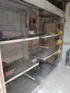 Iron cages