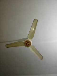 Rado AC DC Fan