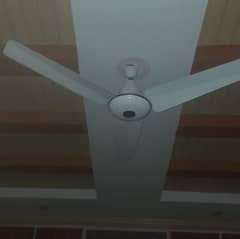celling