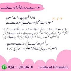 Jobs || Male & Female Jobs || Jobs in Karachi - Office Work