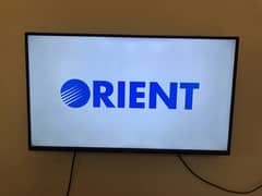 ORIENT
