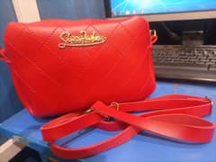 Unique Handbag