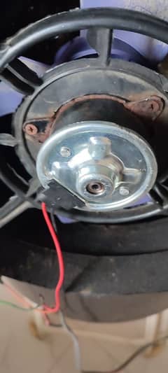 Cooler Urgently seal