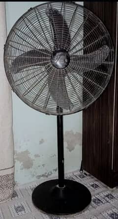 Pedestal Fan 24"