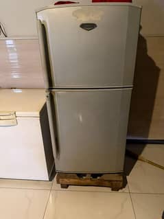 Haier fridge ( refrigerator)