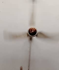 Royal Ceiling Fan