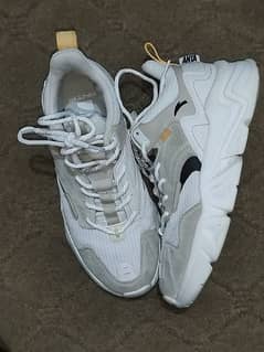 ANTA